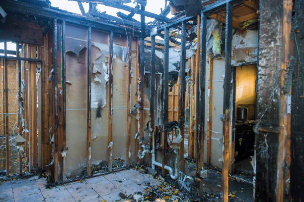 Professional Smoke Damage Removal technician working in Clinton, NJ